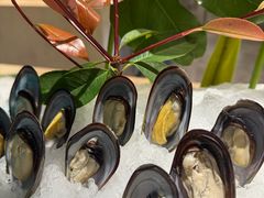 -合肥辰茂和平酒店·茂餐厅
