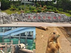 -大连森林动物园