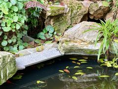-谷咖啡·鲜花绿植花园餐厅