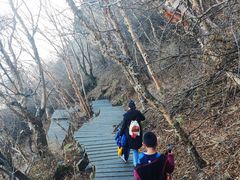 -白草畔自然风景区