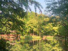 -上海滨江森林公园