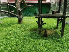 -深圳野生动物园