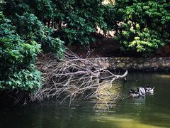 -水库河鲜村