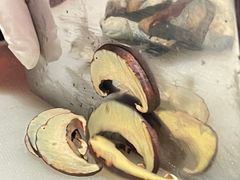 -芸山季·云南野生菌火锅(人民广场来福士店)