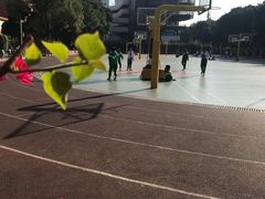 -广州市越秀区育才实验学校