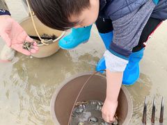 -红树林天天赶海