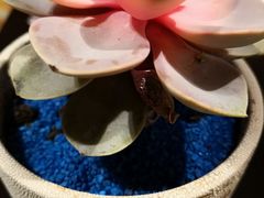 -北京西单美爵酒店