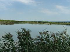 -野鸭湖国家湿地公园