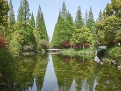 -东平国家森林公园