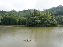 -滴水岩森林公园