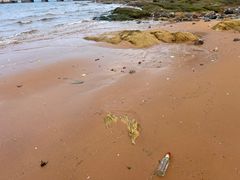 -威海国际海水浴场旅游区