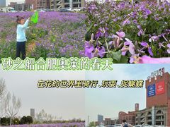 -砂之船奥特莱斯(合肥店)