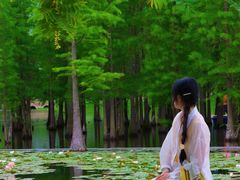 -白鹭湾湿地公园