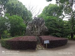 -南汇桃花村