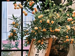 -艾蜜西餐厅(梅园店)