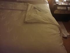 -深圳星河丽思卡尔顿酒店
