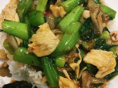 -西安外国语大学-学生食堂(栾树大道店)