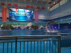-多彩贵州城极地海洋世界