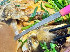 -九道菜有鸡鱼头(石鼓路店)
