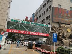 -中国人民解放军第九医学中心(306医院)