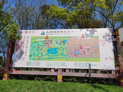 -上海海湾国家森林公园