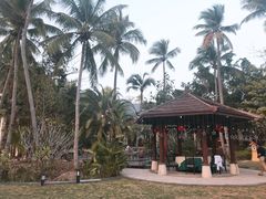 -三亚珠江南田温泉度假区