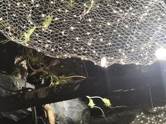 -祖母的魔法厨房(印象城店)