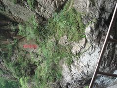 DSC02484-云岫谷自然风景区