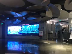 -百美汇影城(LUXE嘉里中心店)