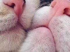 -螺大蛳柳州螺蛳粉·火锅·热干面(西城永捷店)