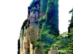 -桃花岛风景旅游区