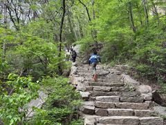 -大岭沟猕猴桃谷风景区