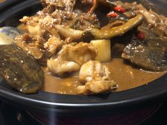 甲鱼牛蛙锅-洪湘记川湘·甲鱼馆(四海凯悦美食广场店)