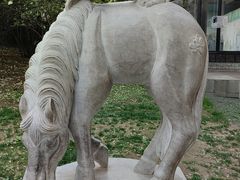 -北京动物园-畅观楼