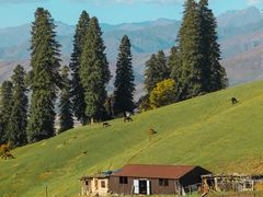 -新疆那拉提国家旅游度假区
