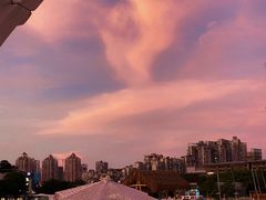-欢乐海岸椰林沙滩-2025湾区超级灯会