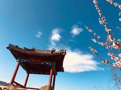 -北京鹫峰国家森林公园