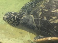 -苏州海洋馆