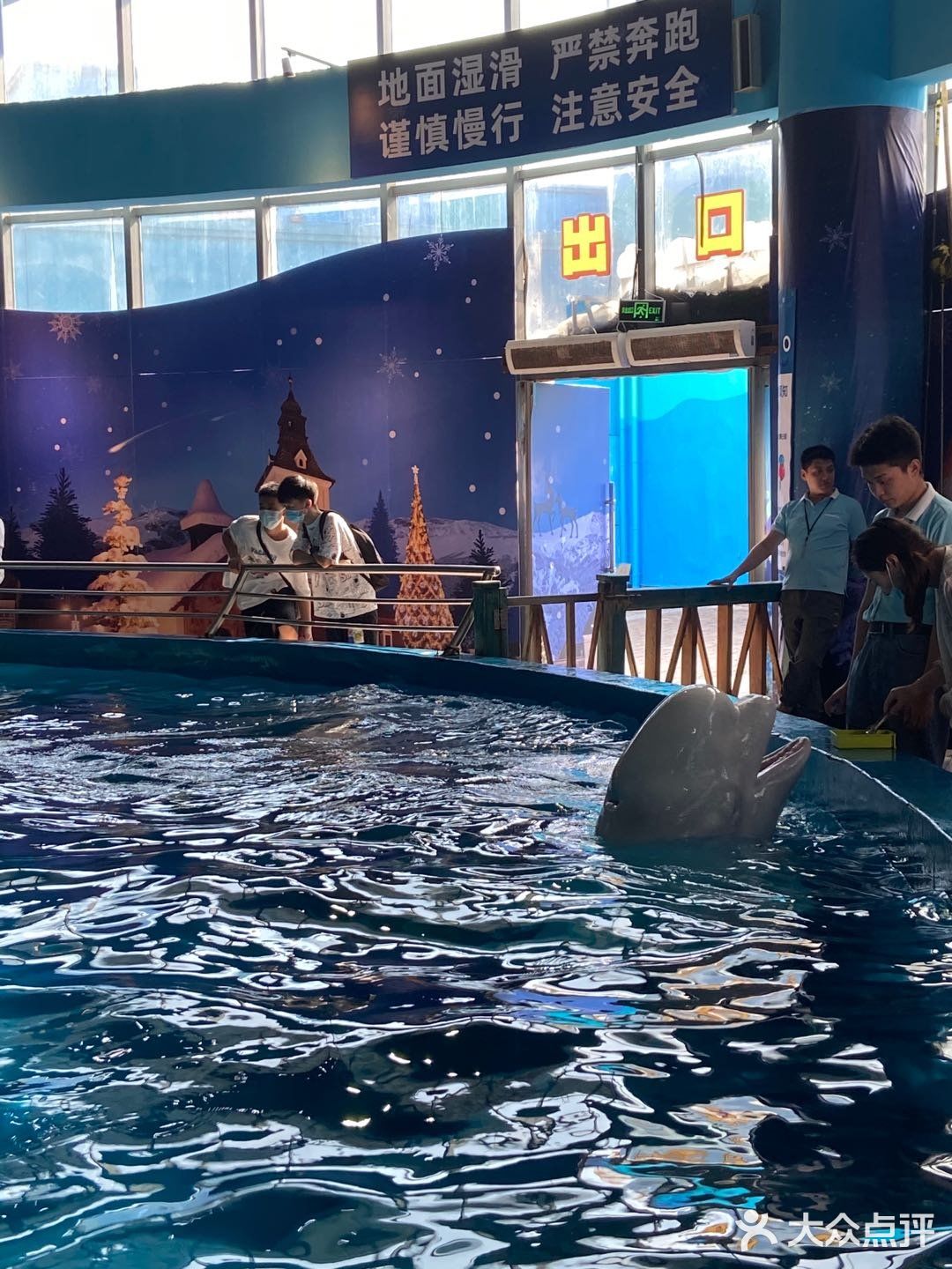 武汉必打卡旅游地标|极地海洋主题公园