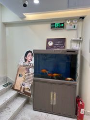 -海涛医疗美容·面部抗衰·注射美鼻