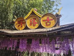 -呀路古热带植物园-恐龙馆