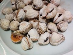 -老宁波1381餐厅(桃源中路店)