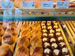 -WHEN PIGS FLY当猪飞