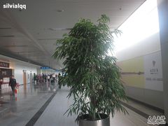 -福州长乐国际机场
