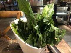 -同仁四季椰子鸡(海岸城天利店)
