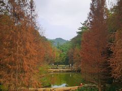 -云溪植物园