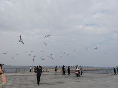 -东港音乐喷泉广场