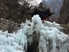 -陕西省红河谷森林公园