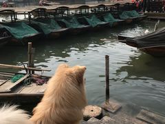 -福满楼(锦溪古镇店)