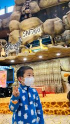 点击看大图 -卡通尼·Safari非洲探索乐园·生日会(金桥国际商业广场店)